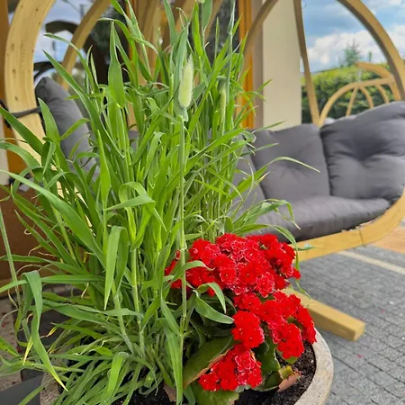 Koliba - Komfortowe Jacuzzi & E-rowery Séjour chez l'habitant